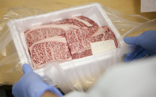 山形牛A4-5 すきやき用 700g(肩ロース300g・モモ400g) FZ19-308