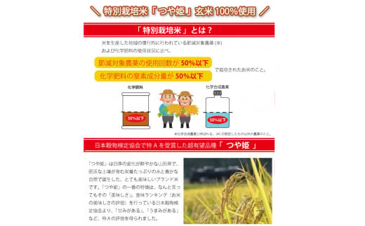 【城北麺工】スーパー大麦 もち麦・玄米ごはん 24個 FY25-873