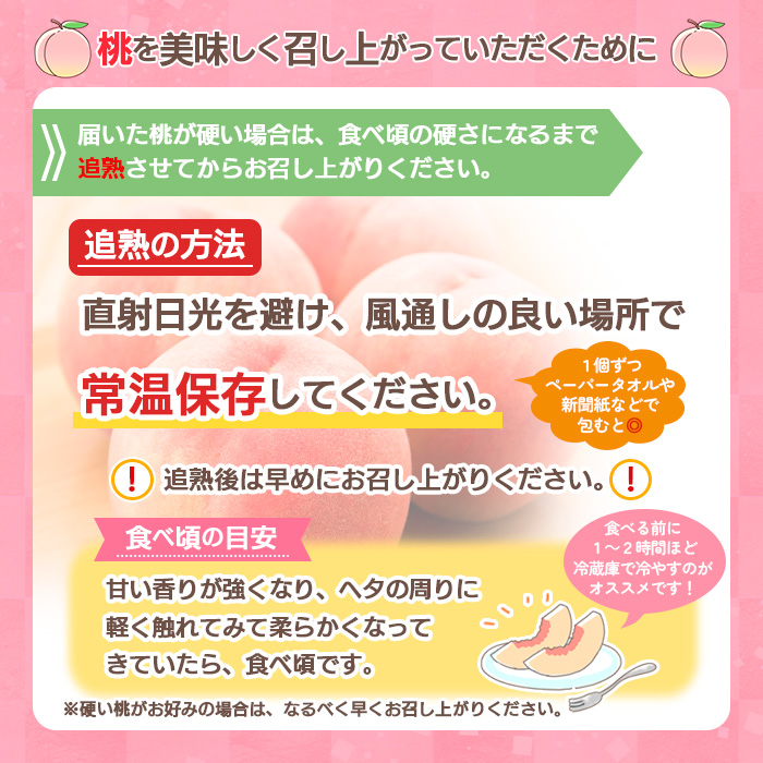 山形の桃(硬い品種)3kg(6～12玉) 【令和7年産先行予約】FU21-629