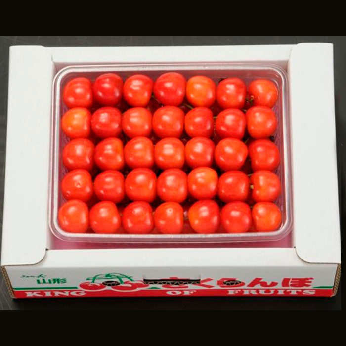 さくらんぼ 佐藤錦 Ｌ500g 手詰 【令和8年産先行予約】FS24-581