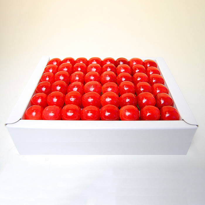 山形のさくらんぼ 佐藤錦 鏡詰め 500g Lサイズ以上 【令和8年産先行予約】FS25-512