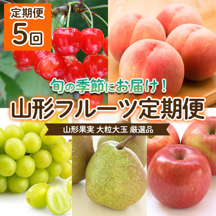 【定期便5回】山形果実 大粒 大玉 厳選品 【令和7年産先行予約】FU22-070