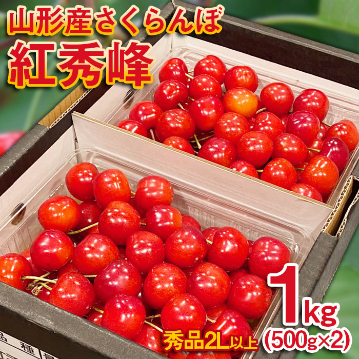 さくらんぼ 紅秀峰 ”希少な大粒”　厳選 2Lサイズ 1kg(500g×2パック）【令和8年産先行予約】FS25-570