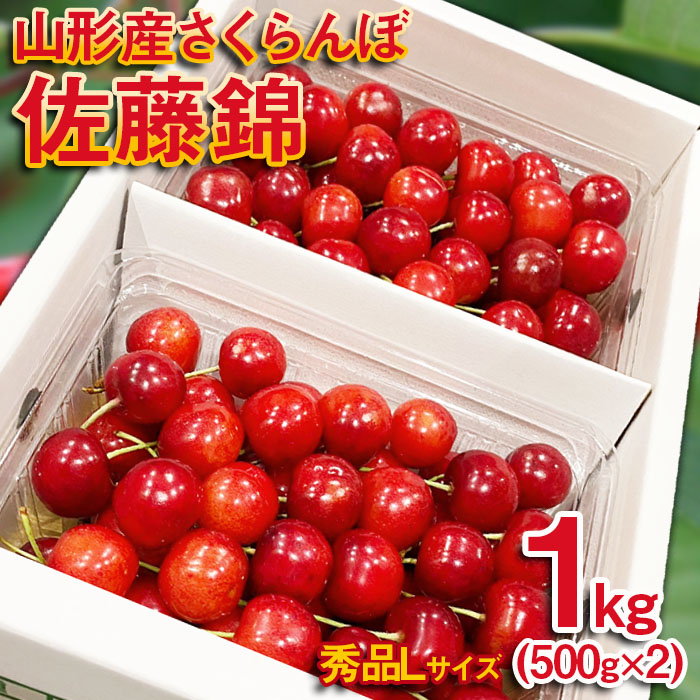 さくらんぼ 佐藤錦 Lサイズ 1kg(500g×2パック） 【令和7年産先行予約】FS24-613