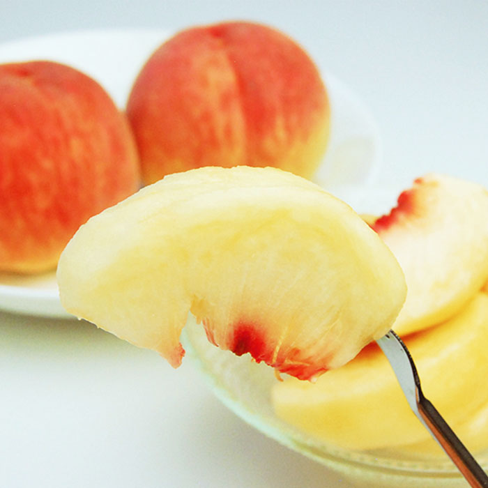 【定期便5回】山形のフルーツ定期便(さくらんぼ・白桃・シャインマスカット・ラフランス・りんご) 【令和8年産先行予約】FS25-635