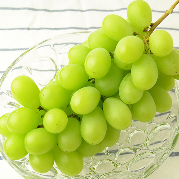 【定期便5回】山形のフルーツ定期便(さくらんぼ・白桃・シャインマスカット・ラフランス・りんご) 【令和8年産先行予約】FS25-635