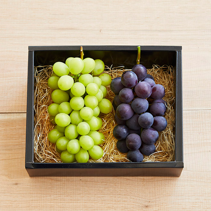 【定期便5回】ちょっとずつ美味しい果物食べ比べ定期便 【令和8年産先行予約】FS25-647