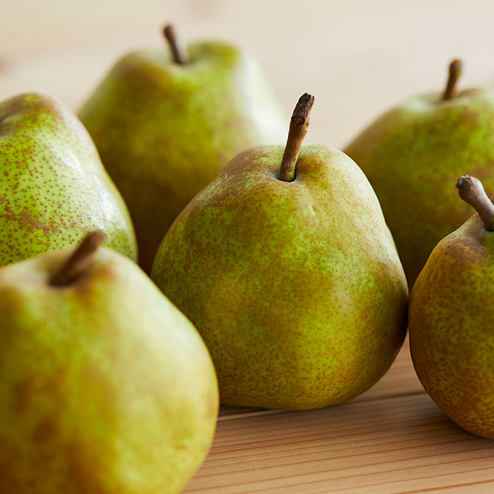 【定期便5回】ちょっとずつ美味しい果物食べ比べ定期便 【令和8年産先行予約】FS25-647