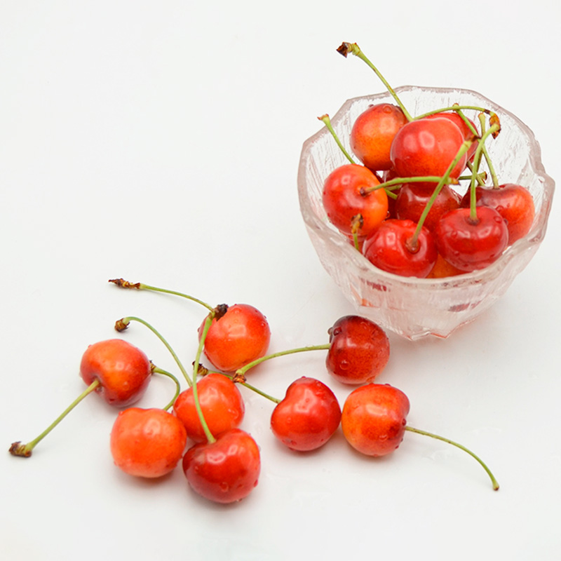 山形のさくらんぼ 紅秀峰 鏡詰め 500g Lサイズ以上 【令和8年産先行予約】FS25-518