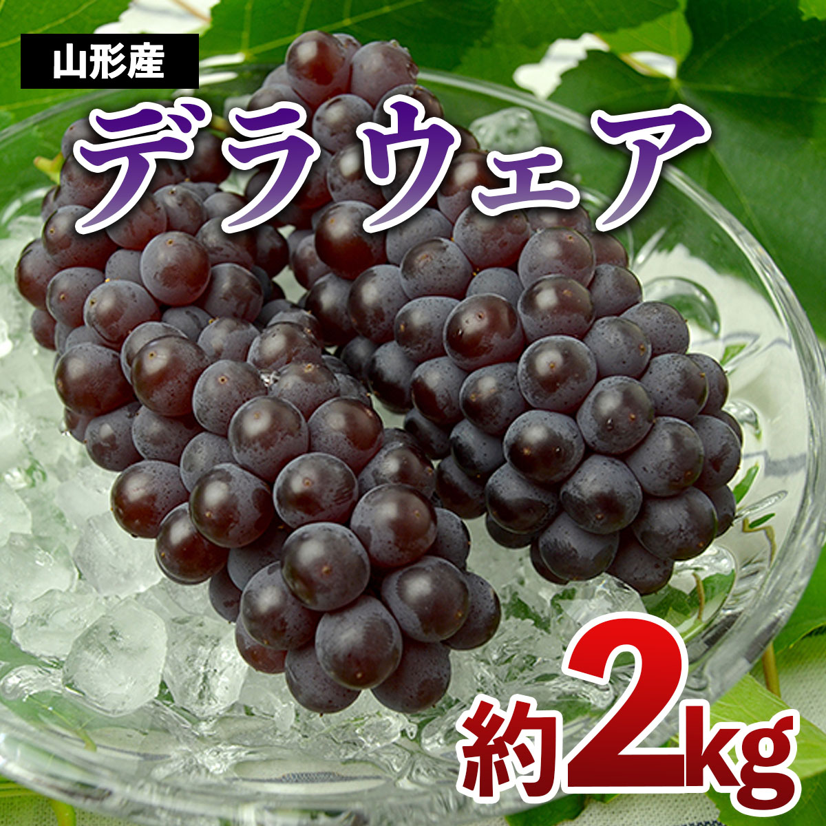 山形のぶどう デラウエア 約2kg(L～3L/10～16房) 【令和7年産先行予約】FS24-569