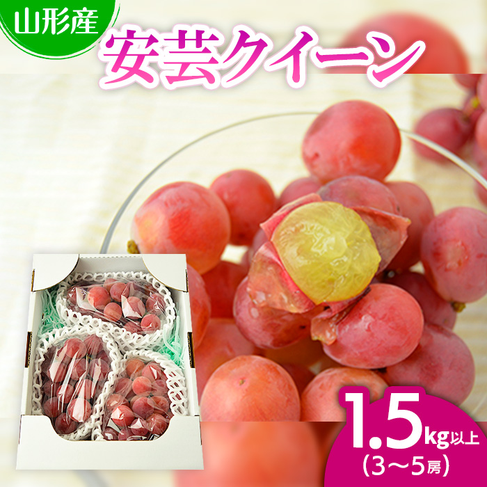 山形市本沢ぶどう安芸クイーン 1.5kg以上(3～5房) 【令和8年産先行予約】FU22-789