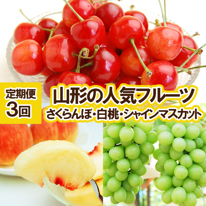 ★定期便3回★山形の人気フルーツ(さくらんぼ・白桃・シャインマスカット) 【令和7年産先行予約】FU23-310
