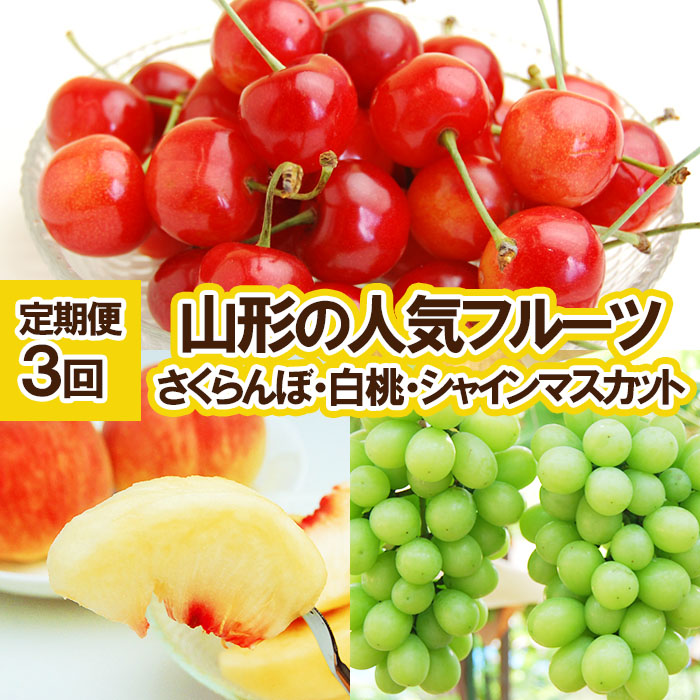 ★定期便3回★山形の人気フルーツ(さくらんぼ・白桃・シャインマスカット)【令和8年産先行予約】FU23-310