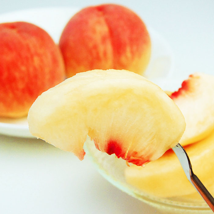 ★定期便3回★山形の夏から秋の人気フルーツ(白桃・シャインマスカット・ラフランス) 【令和8年産先行予約】FS25-687