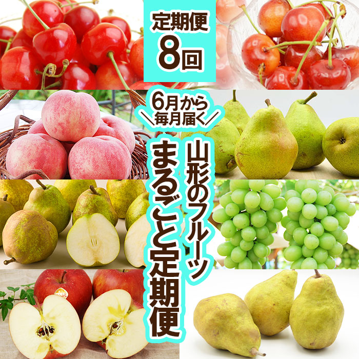 ★定期便8回★【6月から毎月届く】山形のフルーツまるごと定期便 【令和8年産先行予約】FS25-637