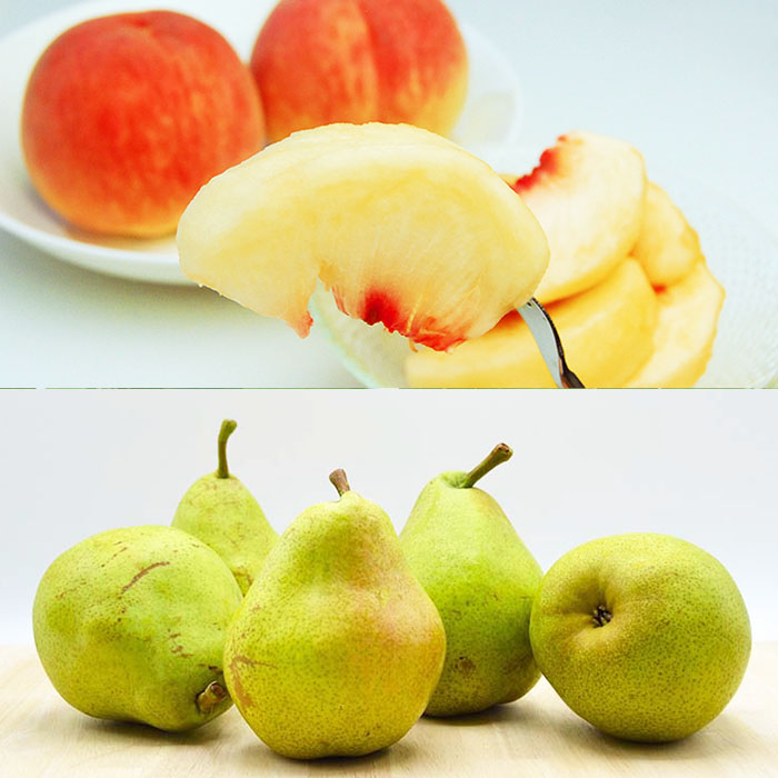 ★定期便8回★【6月から毎月届く】山形のフルーツまるごと定期便 【令和8年産先行予約】FS25-637