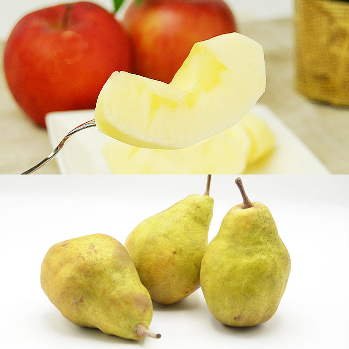 ★定期便8回★【6月から毎月届く】山形のフルーツまるごと定期便 【令和8年産先行予約】FS25-637