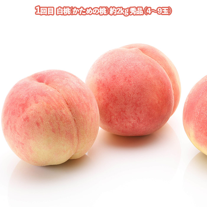 【定期便3回】美味しい秋冬フルーツベスト３ 【令和8年産先行予約】FU23-960