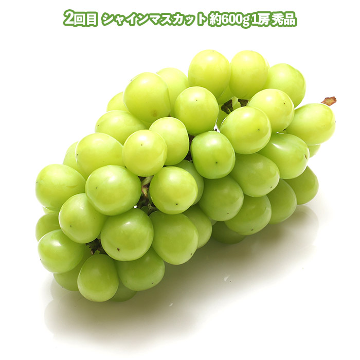 【定期便3回】美味しい秋冬フルーツベスト３ 【令和8年産先行予約】FU23-960