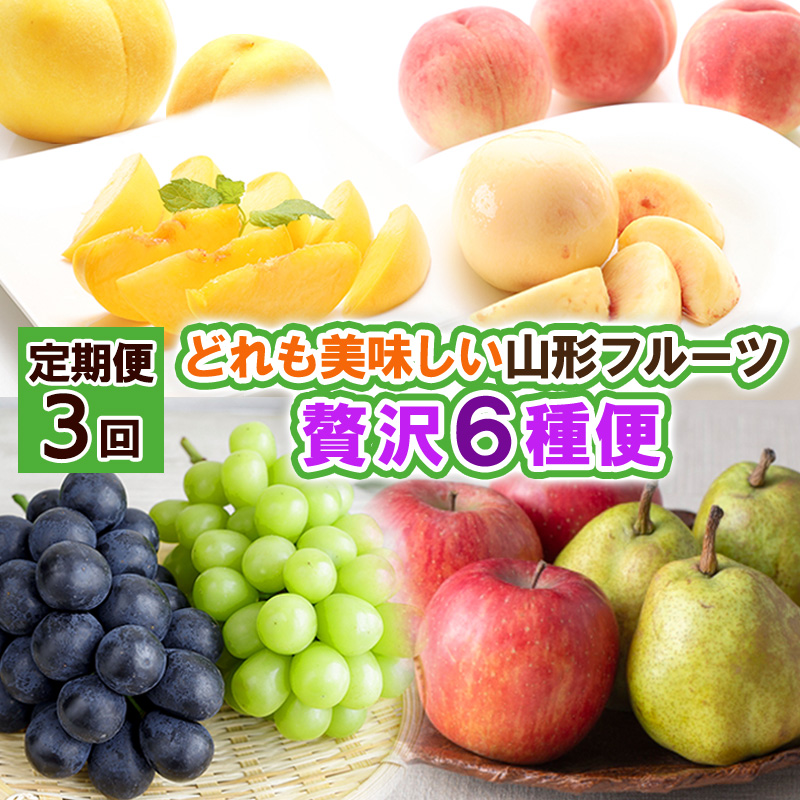【定期便3回】どれも美味しい山形フルーツ贅沢６種便【令和8年産先行予約】FS24-517