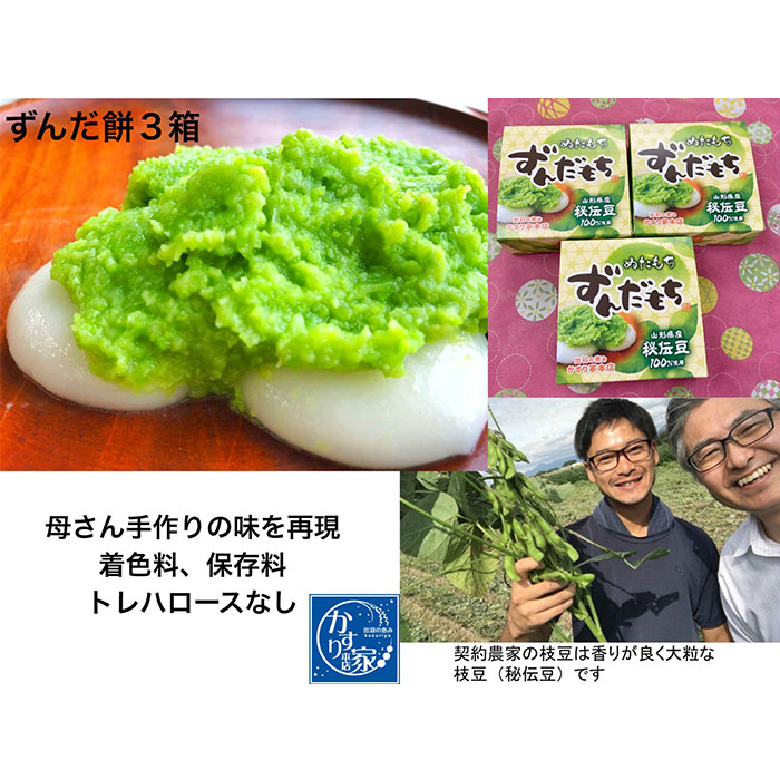 香りが良い 「ずんだ餅」 12個(4個入×3箱） FZ23-545