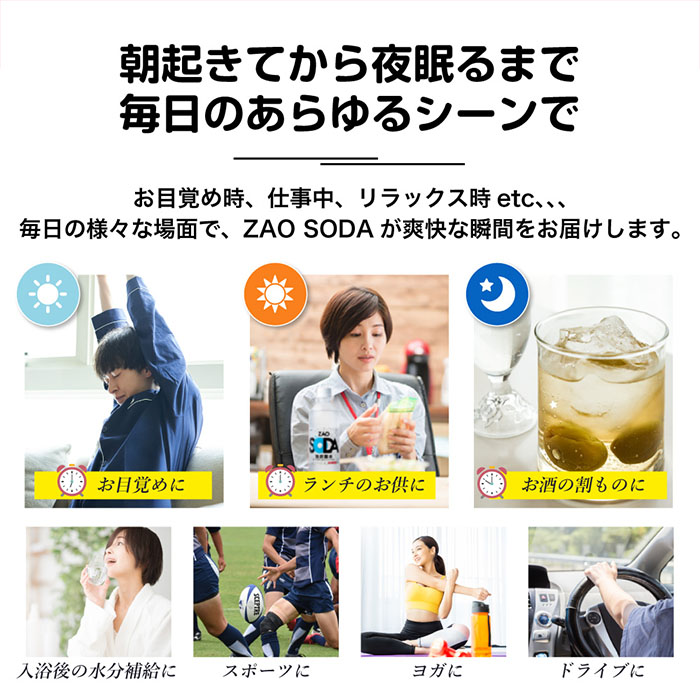 ZAO SODA 強炭酸水 ラベルレス(レモン) 500ml×48本 FZ23-531