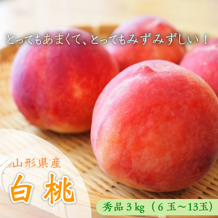 山形市産 白桃 [柔らかくなる桃] 秀品 約3kg (6玉～13玉) 【令和7年産先行予約】FU23-573