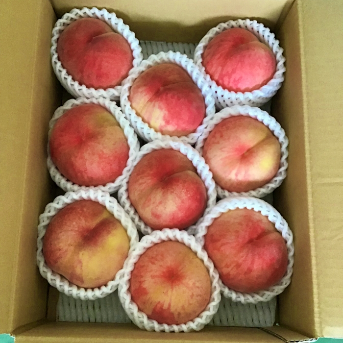 山形市産 白桃 [柔らかくなる桃] 秀品 約3kg (6玉～13玉)【令和8年産先行予約】FU23-573