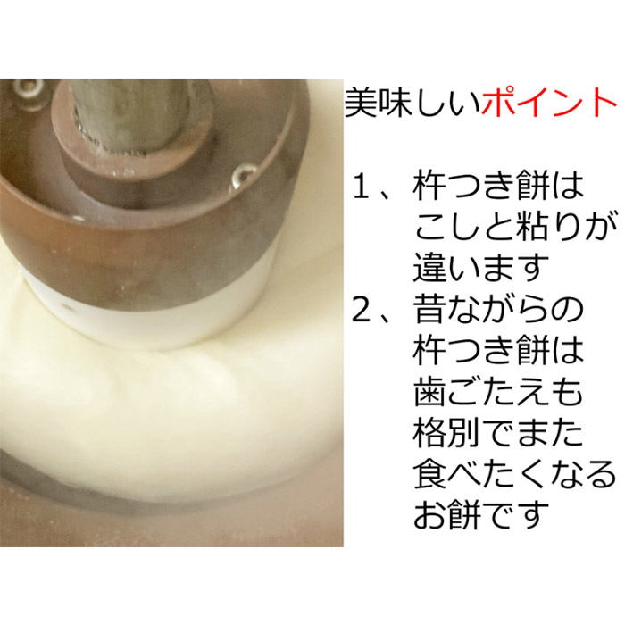 山形産ひめのもち使用！切り餅(1kg)・ずんだあん(200g)・こしあん(200g)のセット FZ23-624