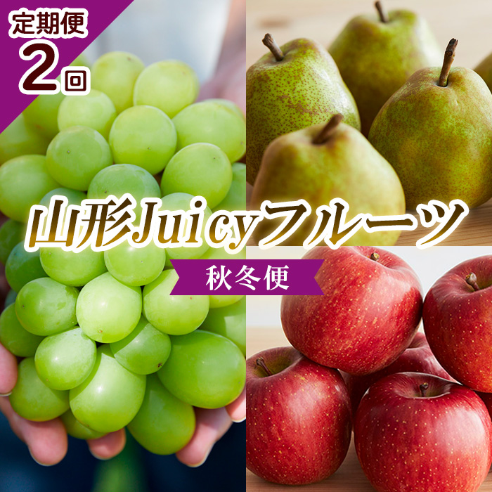 【定期便2回】山形 Juicyフルーツ 秋冬便 【令和7年産先行予約】FU23-925