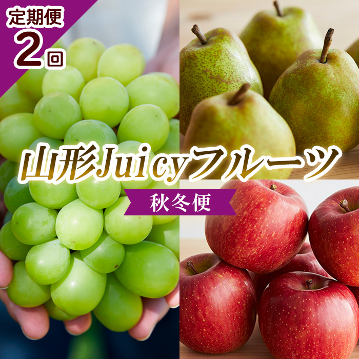 【定期便2回】山形 Juicyフルーツ 秋冬便 【令和8年産先行予約】FU23-925