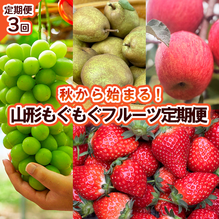 【定期便3回】秋から始まる！山形もぐもぐフルーツ定期便 【令和7年産先行予約】FU23-926