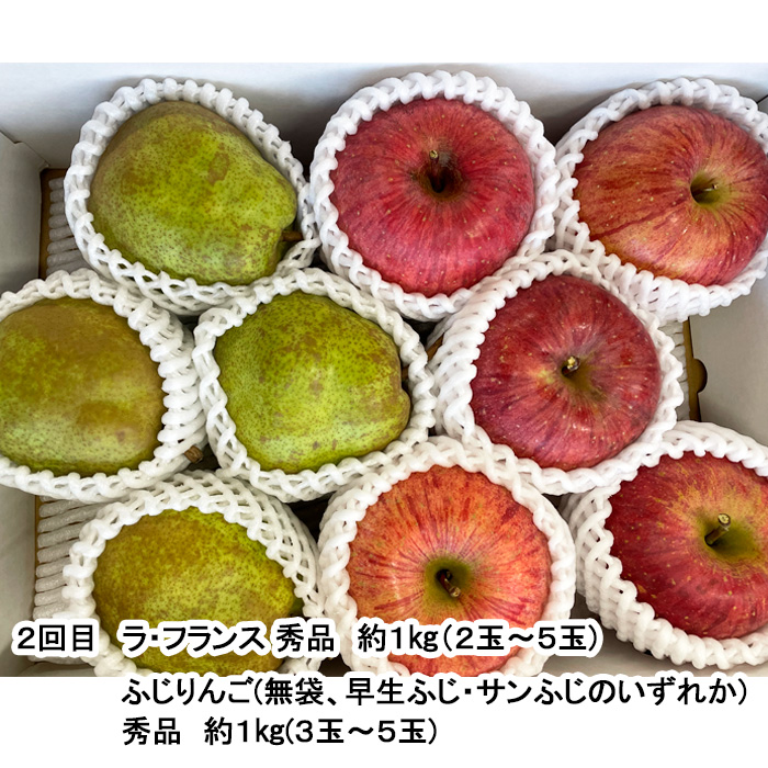 【定期便3回】秋から始まる！山形もぐもぐフルーツ定期便 【令和8年産先行予約】FU23-926