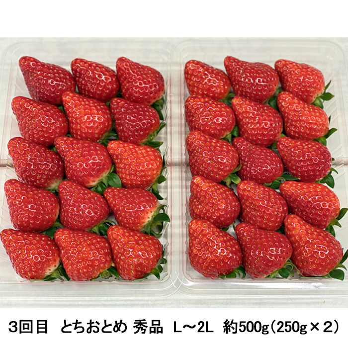 【定期便3回】秋から始まる！山形もぐもぐフルーツ定期便 【令和8年産先行予約】FU23-926
