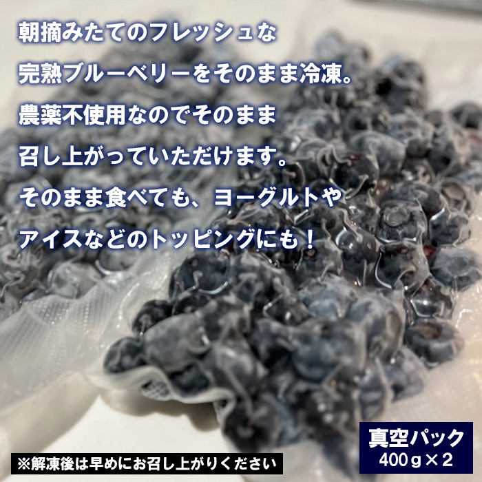 山形産 農薬不使用 冷凍ブルーベリー【ガイアの雫】800g(400g×2)★真空包装★FZ23-581