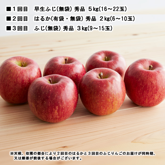 【定期便3回】やまがた秋のりんご三昧【令和8年産先行予約】FS23-638