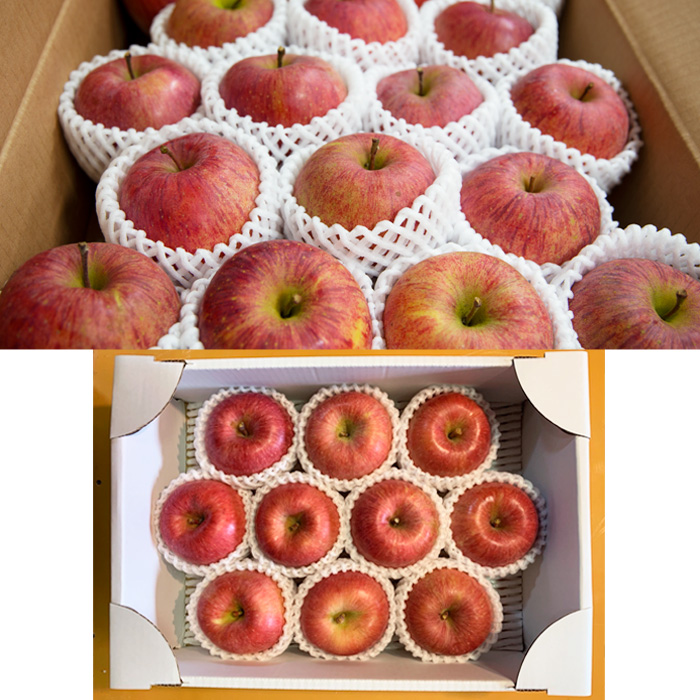 【定期便3回】やまがた秋のりんご三昧【令和8年産先行予約】FS23-638