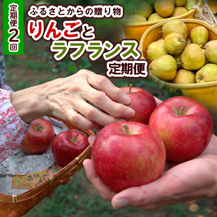 【定期便2回】ふるさとからの贈り物 りんごとラフランス便【令和8年産先行予約】FS23-657