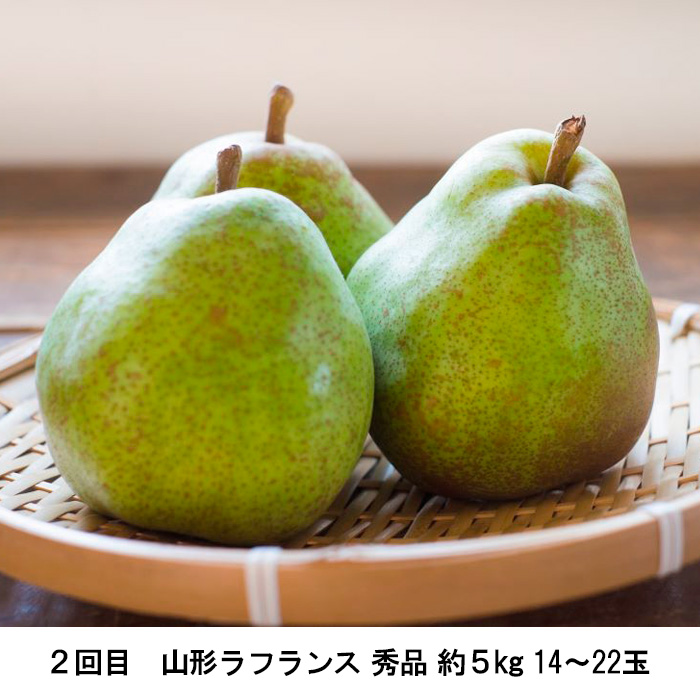 【定期便2回】ふるさとからの贈り物 りんごとラフランス便【令和8年産先行予約】FS23-657