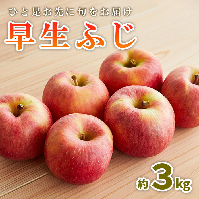 ひと足お先に旬をお届け 早生ふじ 秀品 約3kg【令和8年産先行予約】FS23-658