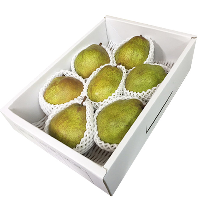 山形の洋梨ラフランス 秀品 約3kg (6～10玉)【令和8年産先行予約】FS25-736