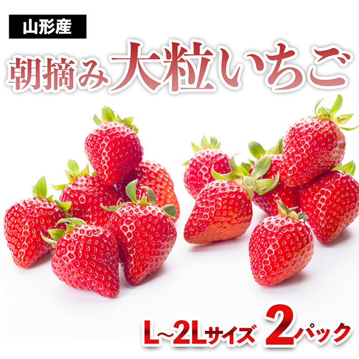 真っ赤に育った冬の贅沢！朝摘み大粒いちご☆ FZ23-439