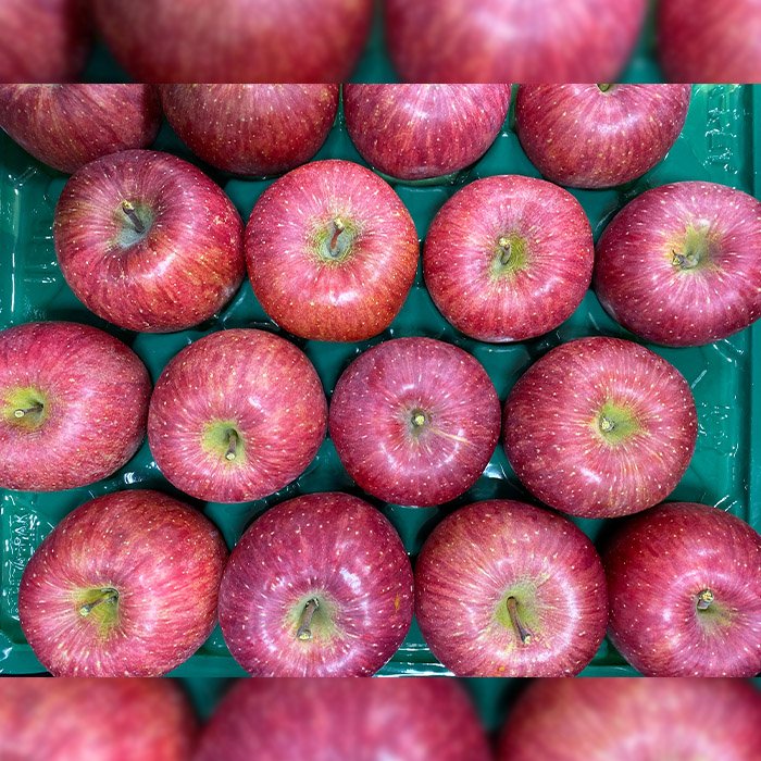 サンふじりんご 無袋 秀品5kg(14玉～20玉)【令和8年産先行予約】FS25-761