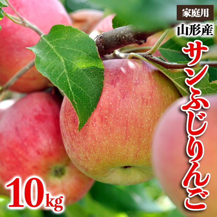 【家庭用】山形産 サンふじりんご 優品以上 10kg FZ23-452