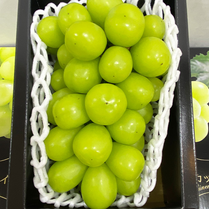 【期間限定】希少！冬の大粒大房のシャインマスカット 秀品 1房(800g～1kg) 【令和8年産先行予約】FS25-686