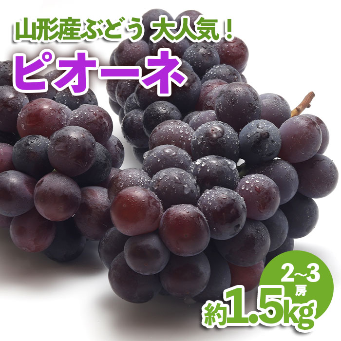 山形産 ぶどう 大人気！ピオーネ 約1.5kg 【令和7年産先行予約】FU23-537