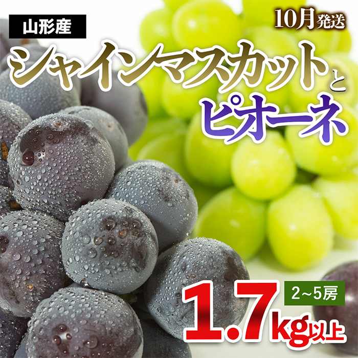 やまがたのぶどう シャインマスカット＆ピオーネ 秀品 約1.7kg(2～5房程度) [10月発送] 【令和7年産先行予約】FS23-753