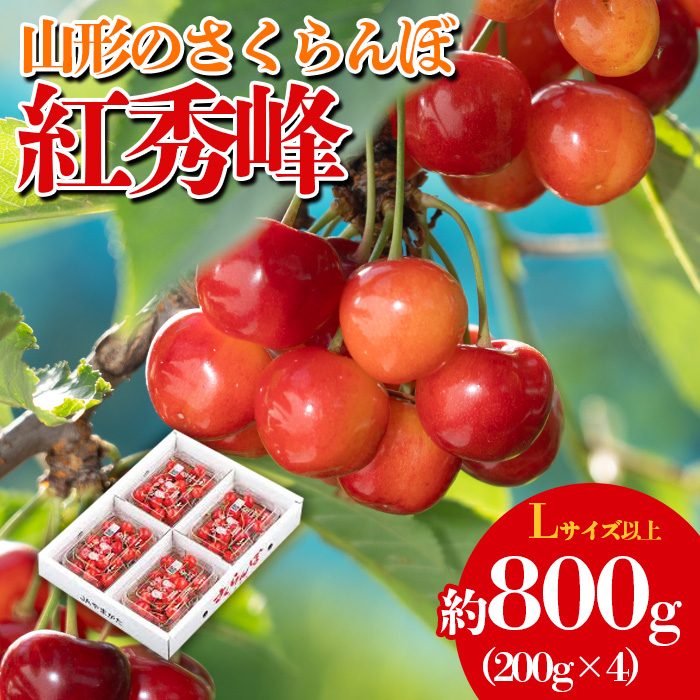 山形のさくらんぼ 紅秀峰 約800g(200g×4) 【令和7年産先行予約】FS23-809