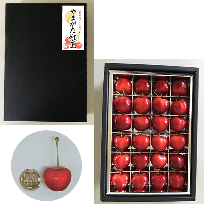 山形市産 さくらんぼ 【やまがた紅王】 2L/3Lサイズ混合 24粒 【令和8年産先行予約】FS25-538