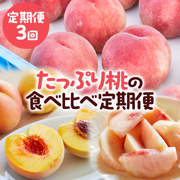 【定期便3回】たっぷり桃の食べ比べ定期便 【令和8年産先行予約】FS23-768